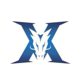 在过去几个 在过去几个